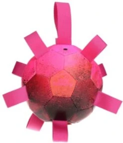 Dog Comets Hypernova Extreem Sterke Hondenbal – Gemaakt Van Drie Lagen – Gebruiksvriendelijk Hondenspeeltje – Drijvende Hondenbal Met Lussen – Geschikt Voor (middelgrote) Honden – Roze