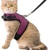 Kattentuigje Met Leiband Riem Kattenharnas Paars Maat L Kat & Kitten – Dieren Kattenriem – Cat Leash – Halsomvang 24 Tot 33cm – Borstomvang 36 Tot 41cm – Zootic® 2 Kattentuigje Met Leiband Riem Kattenharnas Paars Maat L Kat & Kitten – Dieren Kattenriem – Cat Leash – Halsomvang 24 Tot 33cm – Borstomvang 36 Tot 41cm – Zootic® -Huisdierproducten 1065x1200 1