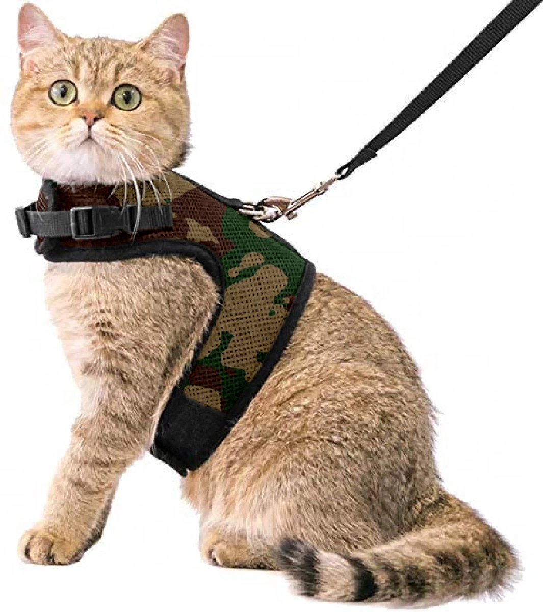 Kattentuigje Met Leiband Riem Kattenharnas Camouflage Maat L Kat & Kitten – Dieren Kattenriem – Cat Leash – Halsomvang 24 Tot 33cm – Borstomvang 36 Tot 41cm – Zootic® 3 Kattentuigje Met Leiband Riem Kattenharnas Camouflage Maat L Kat & Kitten – Dieren Kattenriem – Cat Leash – Halsomvang 24 Tot 33cm – Borstomvang 36 Tot 41cm – Zootic®