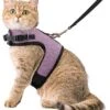 Kattentuigje Met Leiband Riem Kattenharnas Licht Paars Maat M Kat & Kitten – Dieren Kattenriem – Cat Leash – Halsomvang 20 Tot 26cm – Borstomvang 30 Tot 34cm – Zootic®