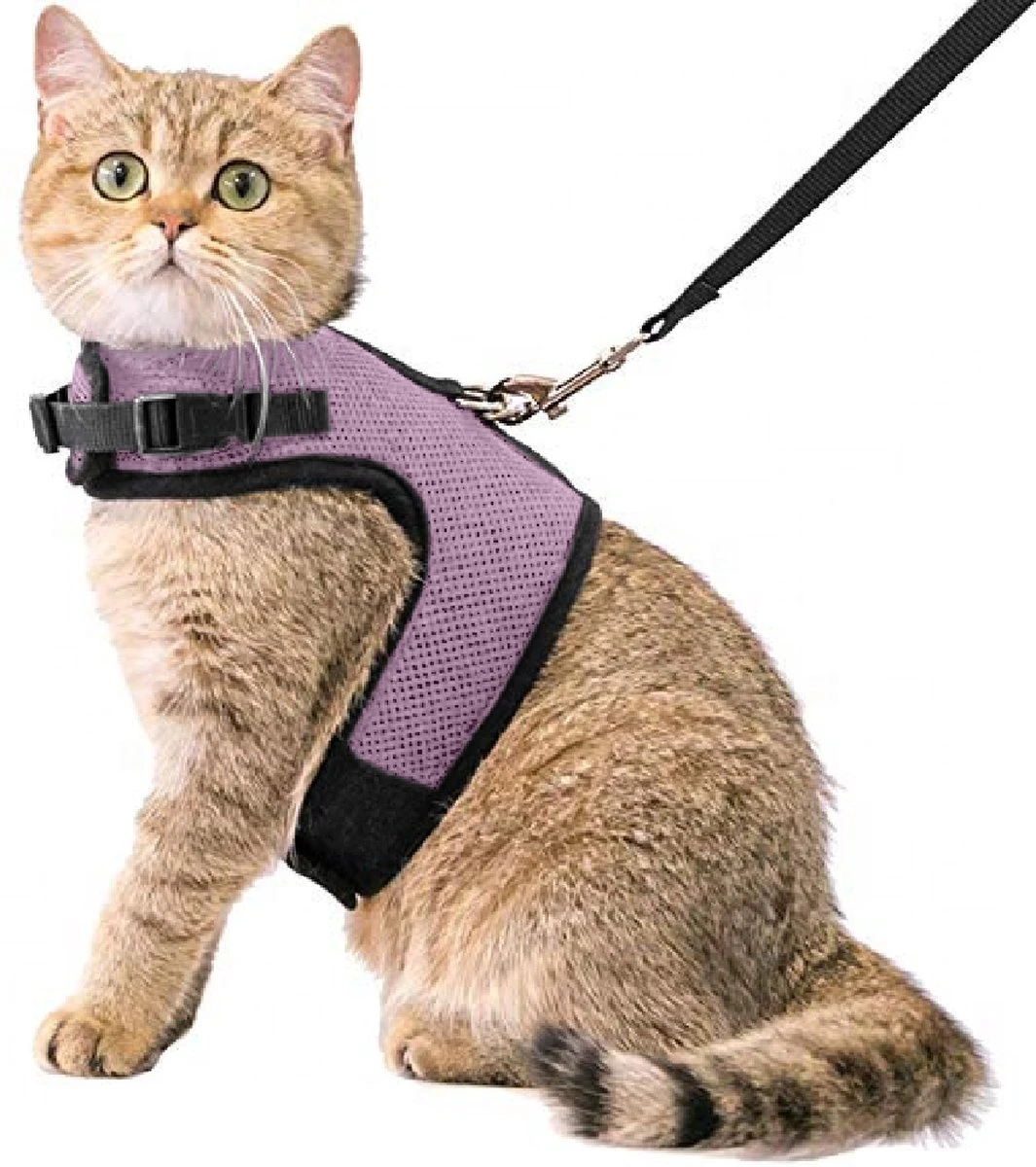 Kattentuigje Met Leiband Riem Kattenharnas Licht Paars Maat M Kat & Kitten – Dieren Kattenriem – Cat Leash – Halsomvang 20 Tot 26cm – Borstomvang 30 Tot 34cm – Zootic® 3 Kattentuigje Met Leiband Riem Kattenharnas Licht Paars Maat M Kat & Kitten – Dieren Kattenriem – Cat Leash – Halsomvang 20 Tot 26cm – Borstomvang 30 Tot 34cm – Zootic®