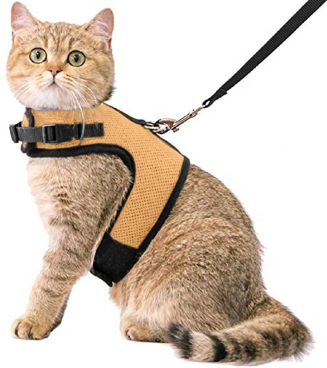 Kattentuigje Met Leiband Riem Kattenharnas Beige Maat M Kat & Kitten – Dieren Kattenriem – Cat Leash – Halsomvang 20 Tot 26cm – Borstomvang 30 Tot 34cm – Zootic® 3 Kattentuigje Met Leiband Riem Kattenharnas Beige Maat M Kat & Kitten – Dieren Kattenriem – Cat Leash – Halsomvang 20 Tot 26cm – Borstomvang 30 Tot 34cm – Zootic®
