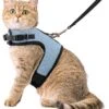 Kattentuigje Met Leiband Riem Kattenharnas Blauw Variant Maat L Kat & Kitten – Dieren Kattenriem – Cat Leash – Halsomvang 24 Tot 33cm – Borstomvang 36 Tot 41cm – Zootic® -Huisdierproducten 1065x1200 4