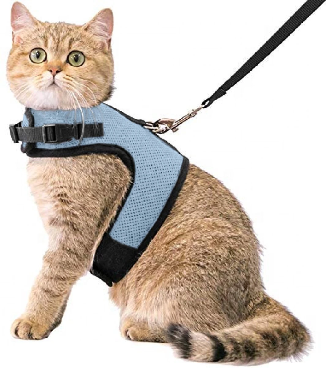 Kattentuigje Met Leiband Riem Kattenharnas Blauw Variant Maat L Kat & Kitten – Dieren Kattenriem – Cat Leash – Halsomvang 24 Tot 33cm – Borstomvang 36 Tot 41cm – Zootic® 3 Kattentuigje Met Leiband Riem Kattenharnas Blauw Variant Maat L Kat & Kitten – Dieren Kattenriem – Cat Leash – Halsomvang 24 Tot 33cm – Borstomvang 36 Tot 41cm – Zootic®