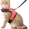 Kattentuigje Met Leiband Riem Kattenharnas Roze Maat L Kat & Kitten – Dieren Kattenriem – Cat Leash – Halsomvang 24 Tot 33cm – Borstomvang 36 Tot 41cm – Zootic® 2 Kattentuigje Met Leiband Riem Kattenharnas Roze Maat L Kat & Kitten – Dieren Kattenriem – Cat Leash – Halsomvang 24 Tot 33cm – Borstomvang 36 Tot 41cm – Zootic® -Huisdierproducten 1065x1200 5