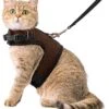 Kattentuigje Met Leiband Riem Kattenharnas Bruin Maat L Kat & Kitten – Dieren Kattenriem – Cat Leash – Halsomvang 24 Tot 33cm – Borstomvang 36 Tot 41cm – Zootic® 2 Kattentuigje Met Leiband Riem Kattenharnas Bruin Maat L Kat & Kitten – Dieren Kattenriem – Cat Leash – Halsomvang 24 Tot 33cm – Borstomvang 36 Tot 41cm – Zootic® -Huisdierproducten 1065x1200 7