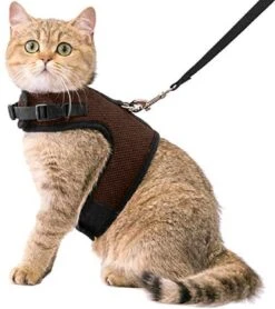 Kattentuigje Met Leiband Riem Kattenharnas Bruin Maat L Kat & Kitten – Dieren Kattenriem – Cat Leash – Halsomvang 24 Tot 33cm – Borstomvang 36 Tot 41cm – Zootic®