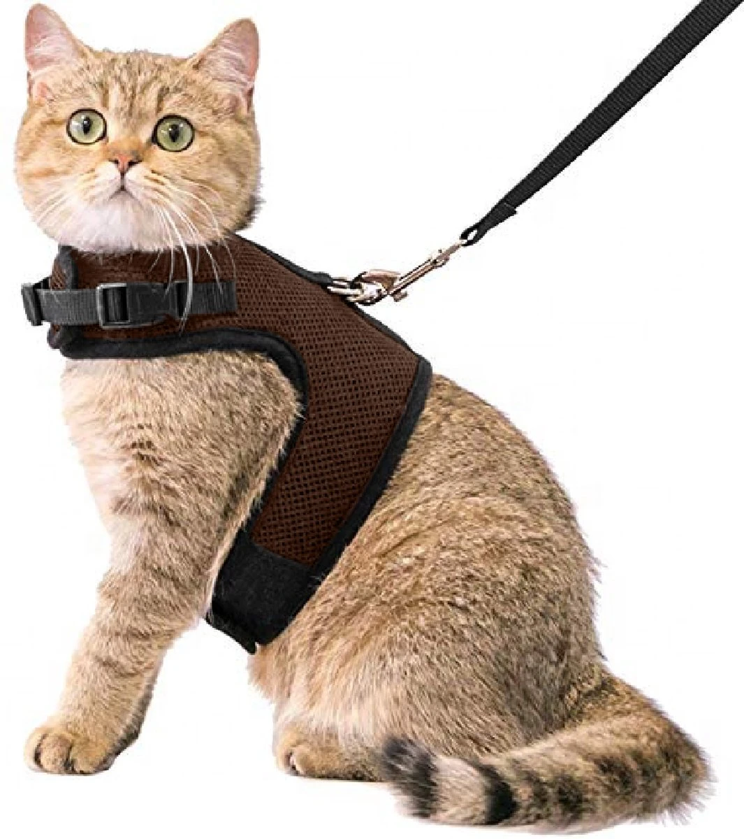 Kattentuigje Met Leiband Riem Kattenharnas Bruin Maat L Kat & Kitten – Dieren Kattenriem – Cat Leash – Halsomvang 24 Tot 33cm – Borstomvang 36 Tot 41cm – Zootic® 3 Kattentuigje Met Leiband Riem Kattenharnas Bruin Maat L Kat & Kitten – Dieren Kattenriem – Cat Leash – Halsomvang 24 Tot 33cm – Borstomvang 36 Tot 41cm – Zootic®