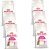 Royal Canin Fhn Protein Exigent – Kattenvoer – 6 X 400 G 2 Royal Canin Fhn Protein Exigent – Kattenvoer – 6 X 400 G -Huisdierproducten 1161x1200 1
