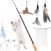 Kattenvishengel, Interactief Intrekbaar Kattenspeelgoed Met Ergonomisch Houten Handvat, 4 Stuks Reserve Dierenveren Hangers En 3 Reserve Linten, Kattenspeelgoed Voor Kittens En Katten
