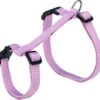 Trixie Tuig Voor Kat Met Riem Assorti 34-57 Cm/13mm 120 Cm -Huisdierproducten 1200x1128 1