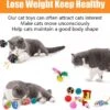 MONTKIARA 21-delige Kattenspeelgoedset Kattentunnel Interactief Kattenspeelgoed Voor Kittens Lentespeelgoed Kattenballen Speelgoedmuizen Voor Katten