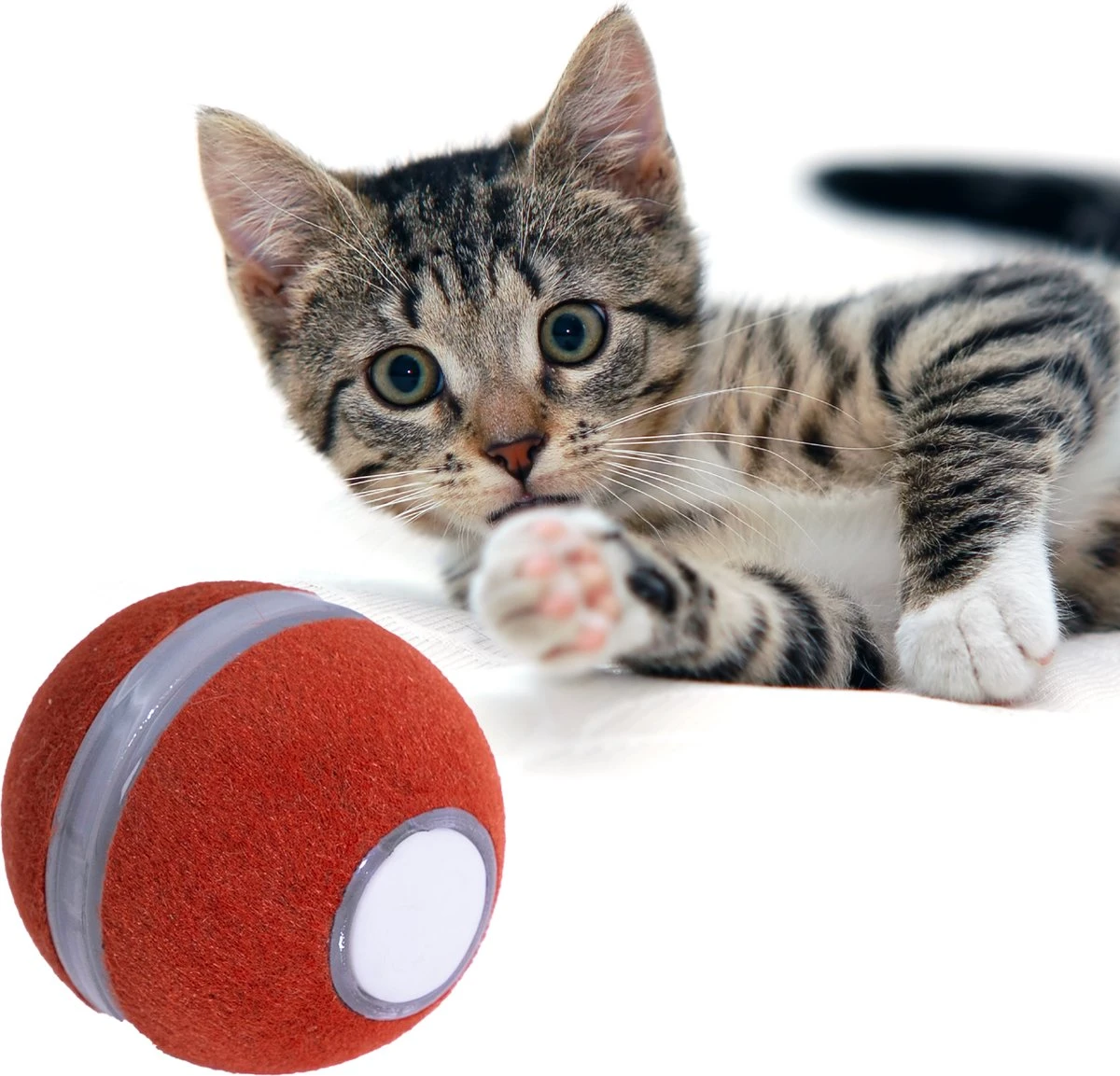 Cheerble Mini Ball – Slimme Interactieve Bal – Kattenspeeltjes Intelligentie – Automatisch – Kat Speelbal – Kattenspeelgoed – USB Oplaadbaar – Rood 3 Cheerble Mini Ball – Slimme Interactieve Bal – Kattenspeeltjes Intelligentie – Automatisch – Kat Speelbal – Kattenspeelgoed – USB Oplaadbaar – Rood