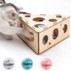 Mewoofun Kat Speelgoed Driehoek Doos Met Drie Ballen Interactieve Massief Houten Speelgoed Voor Binnen Katten Kitten Muizen Kaas Vormige Doos Vang Reactie Intelligentie Spel Speelgoed Tegen Verveling -Huisdierproducten 1200x1200 32
