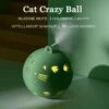 Elektrische Speel Bal Voor Katten – Crazy Cat Ball Speelgoed – Interactieve Stuiterbal – USB Oplaadbaar – Met Veertjes En Touwtjes – Zelf Bewegend -Huisdierproducten 1200x1200 34