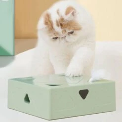 Magische Katten Doos Speelgoed – Elektrische Katten Speelgoed – Bewegingstechnologie – Kunstmatige Intelligentie – Interactieve Katten Speelgoed – Speelplezier – Nieuwsgierig – Jachtinstincten – Zoeken – Najagen – Geschikt Voor Meerdere Katten