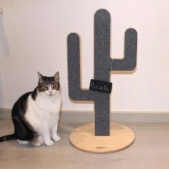 Halcyon Home Itchie Cactus Krabpaal