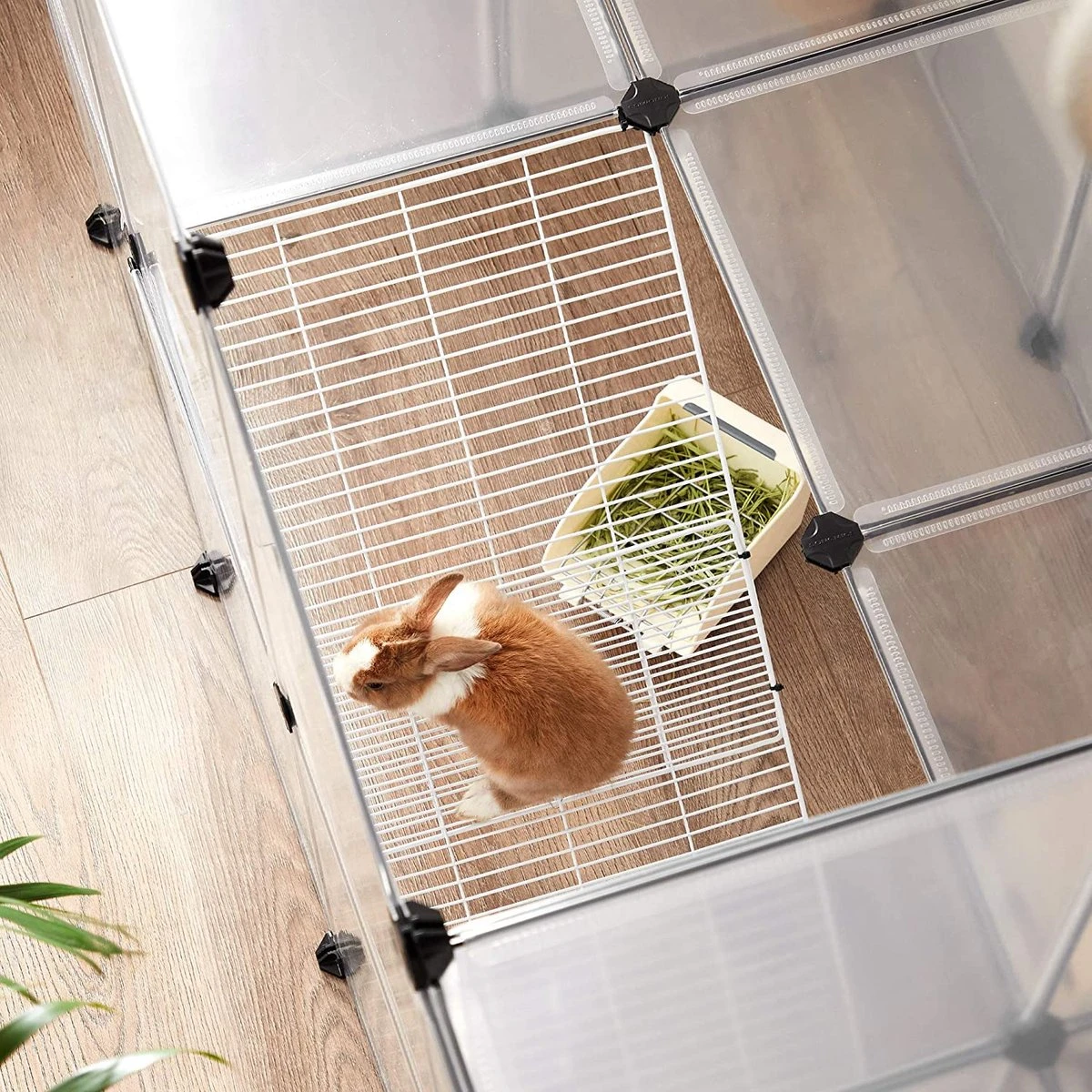 Buitenbehuizing Dieren – Huisdieren Kooi – Huisdieren – Dierenhuis – Hamster – Cavia – Konijnen – Transparant 3 Buitenbehuizing Dieren – Huisdieren Kooi – Huisdieren – Dierenhuis – Hamster – Cavia – Konijnen – Transparant