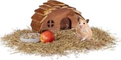 Relaxdays Hamsterhuis – Hout – Knaagdierhuis – Hamsterhuisje – Accessoire – Speelhuisje