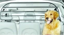 Hondenrek Traficgard XXS Voor In De Auto