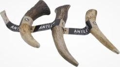 Aerend – Hondenkauwspeeltje – Honden Speelgoed – Kauwspeelgoed – Natuurlijk – 100% Antler Premium – Langdurig, Hertengewei, Roodhert Elk – Rijk Aan Eiwit En Calcium – M – 12-15 Cm – 3 Stuks
