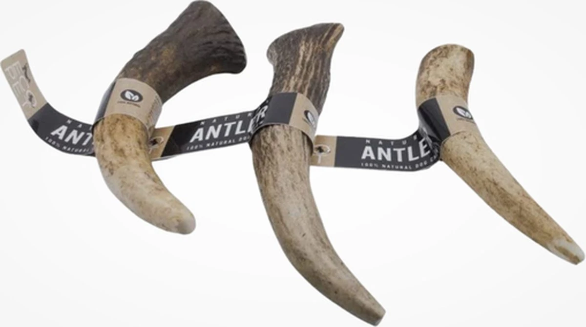Aerend – Hondenkauwspeeltje – Honden Speelgoed – Kauwspeelgoed – Natuurlijk – 100% Antler Premium – Langdurig, Hertengewei, Roodhert Elk – Rijk Aan Eiwit En Calcium – M – 12-15 Cm – 3 Stuks 3 Aerend – Hondenkauwspeeltje – Honden Speelgoed – Kauwspeelgoed – Natuurlijk – 100% Antler Premium – Langdurig, Hertengewei, Roodhert Elk – Rijk Aan Eiwit En Calcium – M – 12-15 Cm – 3 Stuks