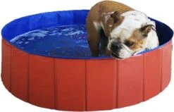 Zwembadje Voor Kinderen En Huisdieren – Hondenzwembad – Hondenbad – Bad Voor Honden, Huisdieren – Opzetzwembad – 30×10