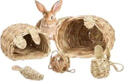 Relaxdays Knaagdier Speelgoed – Set Van 5 – Grashuis – Kooi Accessoires – Speeltje – Cavia