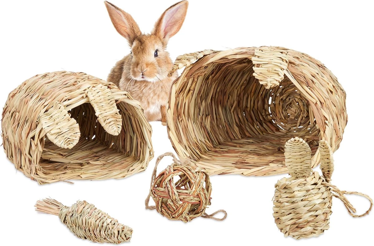 Relaxdays Knaagdier Speelgoed – Set Van 5 – Grashuis – Kooi Accessoires – Speeltje – Cavia 3 Relaxdays Knaagdier Speelgoed – Set Van 5 – Grashuis – Kooi Accessoires – Speeltje – Cavia