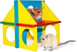 Duvo Diy Fun House Gemengde Kleuren 14x11cm