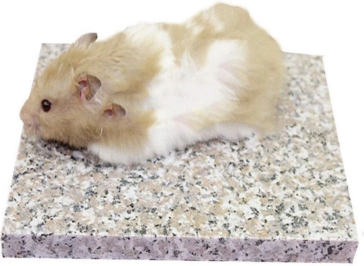 Knaagdier – Graniet – Antibacteriële – Steen – Knaagdier 15 Cm X 15 Cm X 3 Cm – Hygiënisch En Comfortabel – Echte Graniet – Bodembedekking – Vrijgeven Van – Mineralen En Sporenelementen 3 Knaagdier – Graniet – Antibacteriële – Steen – Knaagdier 15 Cm X 15 Cm X 3 Cm – Hygiënisch En Comfortabel – Echte Graniet – Bodembedekking – Vrijgeven Van – Mineralen En Sporenelementen