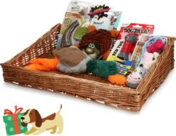 Cadeaupakket Hond – Voordeelpakket Met Hondenspeelgoed En Hondensnacks – 6-delig Verassingspakket Voor Honden – Bevat O.a. Petsport En AFP