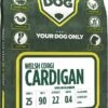 Yourdog Welsh Corgi Cardigan Volwassen -Huisdierproducten 593x1200 10