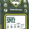 Yourdog Visigotische Spitz Senior