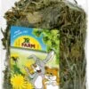 JR Farm Ruwe Knaagdiersnack – Paardenbloemen – 100 Gram -Huisdierproducten 773x1200 2