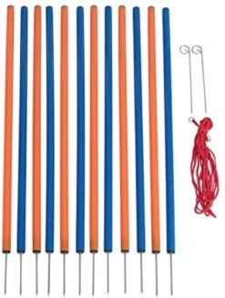 Agility Voor De Hond Slalom Set 12 Delig – 98 Cm Hoog – Agility Set – Honden Behendigheidsset – Slalom – Agility Set Voor De Hond – Agility Set