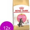 Royal Canin Fbn Kitten Maine Coon – Kattenvoer – 12 X 400 G
