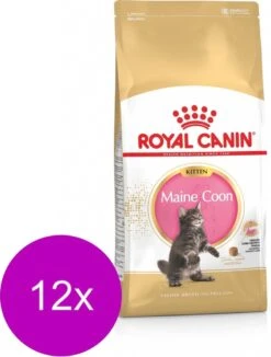 Royal Canin Fbn Kitten Maine Coon – Kattenvoer – 12 X 400 G