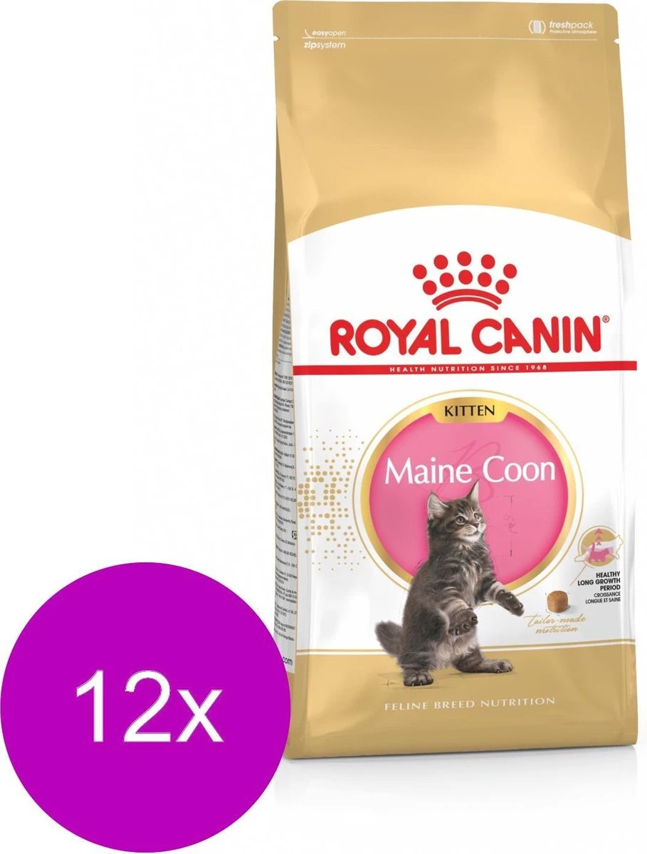 Royal Canin Fbn Kitten Maine Coon – Kattenvoer – 12 X 400 G 3 Royal Canin Fbn Kitten Maine Coon – Kattenvoer – 12 X 400 G