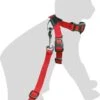 Veiligheidstuigje Kat Auto Rood – 51828 – 44.5 – 46 Cm X 25 Mm 1 Veiligheidstuigje Kat Auto Rood – 51828 – 44.5 – 46 Cm X 25 Mm -Huisdierproducten 912x1200