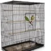 Keddoc Bird Cage Budgie Home – Kooi – Zwart -Huisdierproducten 922x1200