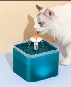 Loha-party Drinkfontein Voor Katten En Honden – Drinkfontein Kat – Waterfontein Met Filter – Kattenfontein – Drinkfontein Hond – Waterbak – Drinkbak – 2L – Blauw