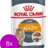 Royal Canin Fhn Adult Intense Beauty Mp Pouch – Kattenvoer – 8 X 12×85 G
